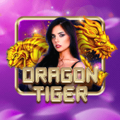 Dragon Tiger fair play live casino