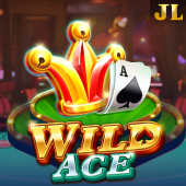 Wild Ace fair play slot